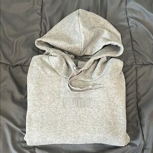 Puma Gray Logo Hoodie Size Medium